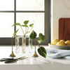 Brass and Glass Plant Propagation Vase Set
