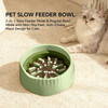 2-in-1 Dual Mode Large Plastic Cat Slow Feeder Bowl, Switchable Fast/Slow Feed