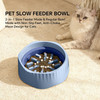 2-in-1 Dual Mode Large Plastic Cat Slow Feeder Bowl, Switchable Fast/Slow Feed
