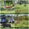 2026 Upgraded Outdoor Animal Repeller, Solar & USB Charging Ultrasonic Deterrent, IPX6 Waterproof with Strobe LED Light, 30ft Detection Range for Bird Mouse Skunk Rabbit Farm Patio Protection