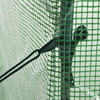 6' x 3' x 5' Walk-in Greenhouse, Portable Hot House, PE Cover, Steel Frame, Zipper Door, Top Vent for Flowers, Vegetables, Green