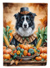 Border Collie Thanksgiving House Flag Large Porch Sleeve Pole Decorative Outside Yard Banner Artwork Wall Hanging, Polyester, House Size, Multicolor