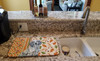 Blue Belton English Setter Heirloom Fall Dish Drying Mat Absorbent Dish Drying Mat Pad for Kitchen Counter Dish Drainer Mat for Countertop, 14 x 21", Multicolor