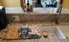 Black and Tan Dachshund Heirloom Fall Dish Drying Mat Absorbent Dish Drying Mat Pad for Kitchen Counter Dish Drainer Mat for Countertop, 14 x 21", Multicolor