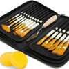 15pc Artist Paint Brush Set with Pop-Up Case, Palette Knife & Sponges - Nylon Hair for Acrylic, Oil, Watercolor, Gouache, Model & Craft Painting
