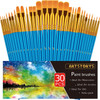 Paint Brushes Set, 30 Pcs Paint Brushes for Acrylic Painting, Oil Watercolor Acrylic Paint Brush, Artist Paintbrushes for Body Face Rock Canvas, Kids Adult Drawing Arts Crafts Supplies, Blue