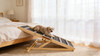 2026 Upgraded Dog Ramp for Couch, Small Dog Ramp for Sofa, 6 Adjustable Height from 14'' to 25", Portable Stable Pet Steps with Non-Slip Pad, Pet Ramps Use for Sofa Couch Stairs