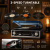 Vinyl Record Player Turntable Bluetooth 3 Speed Built-in Speakers Retro Portable Turntables & Vinyl Audio