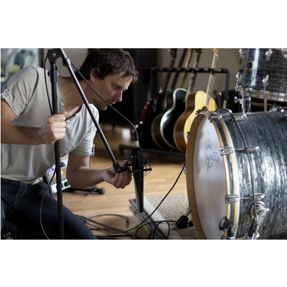 SE ELECTRONICS RNR1 Active Ribbon Mic with Shockmount, Wood and ATA ...