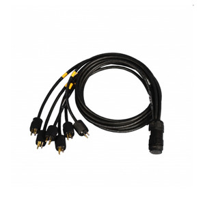 TMB BREAKIN ED Adaptor 19Pin Female Socapex to Hubbell 3' Male Edison