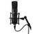 WARM AUDIO WA-87 R2 Large Diaphragm Condenser Black Studio Microphone with ATA Case