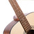 CORT TRAILBLAZER PACK Complete Dreadnought Solid Wood Acoustic Guitar Beginner Set