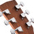 CORT TRAILBLAZER PACK Complete Dreadnought Solid Wood Acoustic Guitar Beginner Set