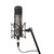 WARM AUDIO WA-47T Large Diaphragm Titanium Tube Condenser Studio Microphone