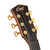 CORT MODERNBURGUNDY Masterpiece Series Dual Side Soundhole Acoustic/Electric Guitar