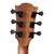 LAG HYVIBE HV10ACE / HV-S4 BUNDLE Auditorium Smart FX, Looper, Bluetooth Acoustic Guitar &  Pedal