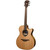 LAG HYVIBE HV10ACE / HV-S4 BUNDLE Auditorium Smart FX, Looper, Bluetooth Acoustic Guitar &  Pedal