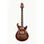 CORT M900 Chambered Semi-Hollow Double Cutaway Acoustic Electric Guitar
