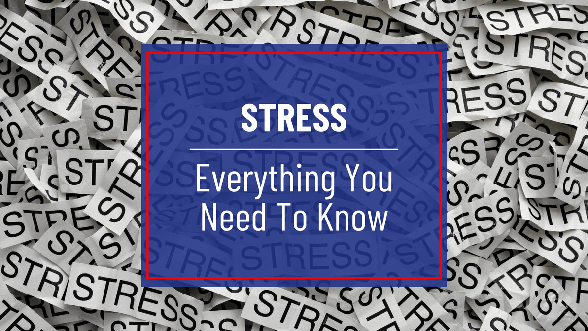 Stress - Everything You Need To Know