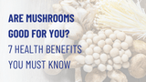 Are Mushrooms Good for You? 7 Health Benefits You Must Know