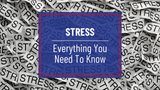 Stress - Everything You Need To Know