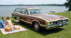 Stripeman.com - Colonial Teak w/ Tan Lines Woodgrain on Ford Country Squire Wagon