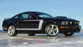 05-09 Ford Mustang Fastback 1 Graphic Kit