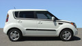 2008-2013 Kia Soul Mate Graphics Kit