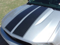 2010-2012 Ford Mustang Wildstang Racing Stripes Graphic Kit