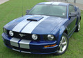 2005-2009 Ford Mustang S-500 / S-501 Racing Stripe Kit with hood scoop view