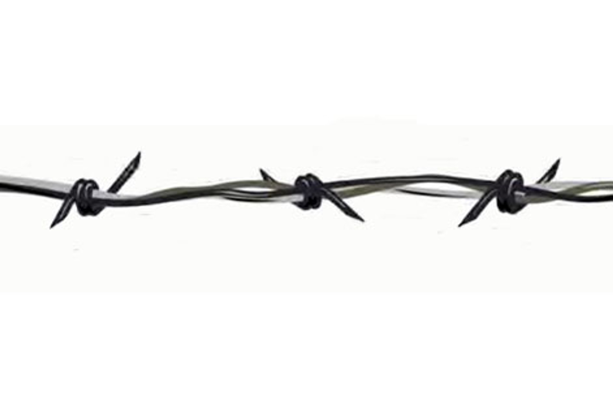the barbed wire