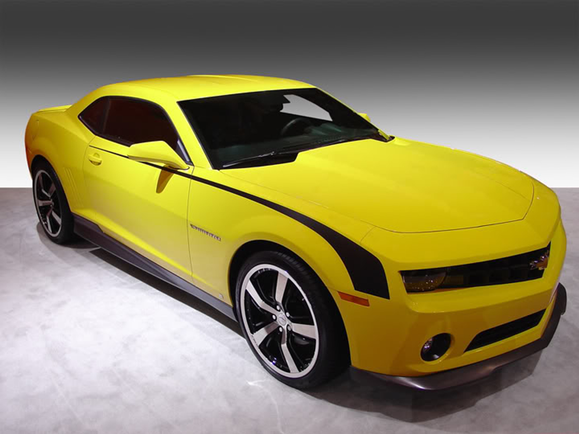 Shop Camaro Hockey Stripes Hockey Stripes On Camaro