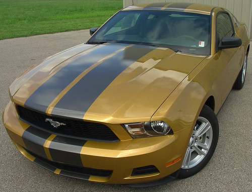 Stampede 1 Racing Stripes for 2010, 2011, 2012 Ford Mustang Front View Stampede 1 Racing Stripes for 2010, 2011, 2012 Ford Mustang Front View