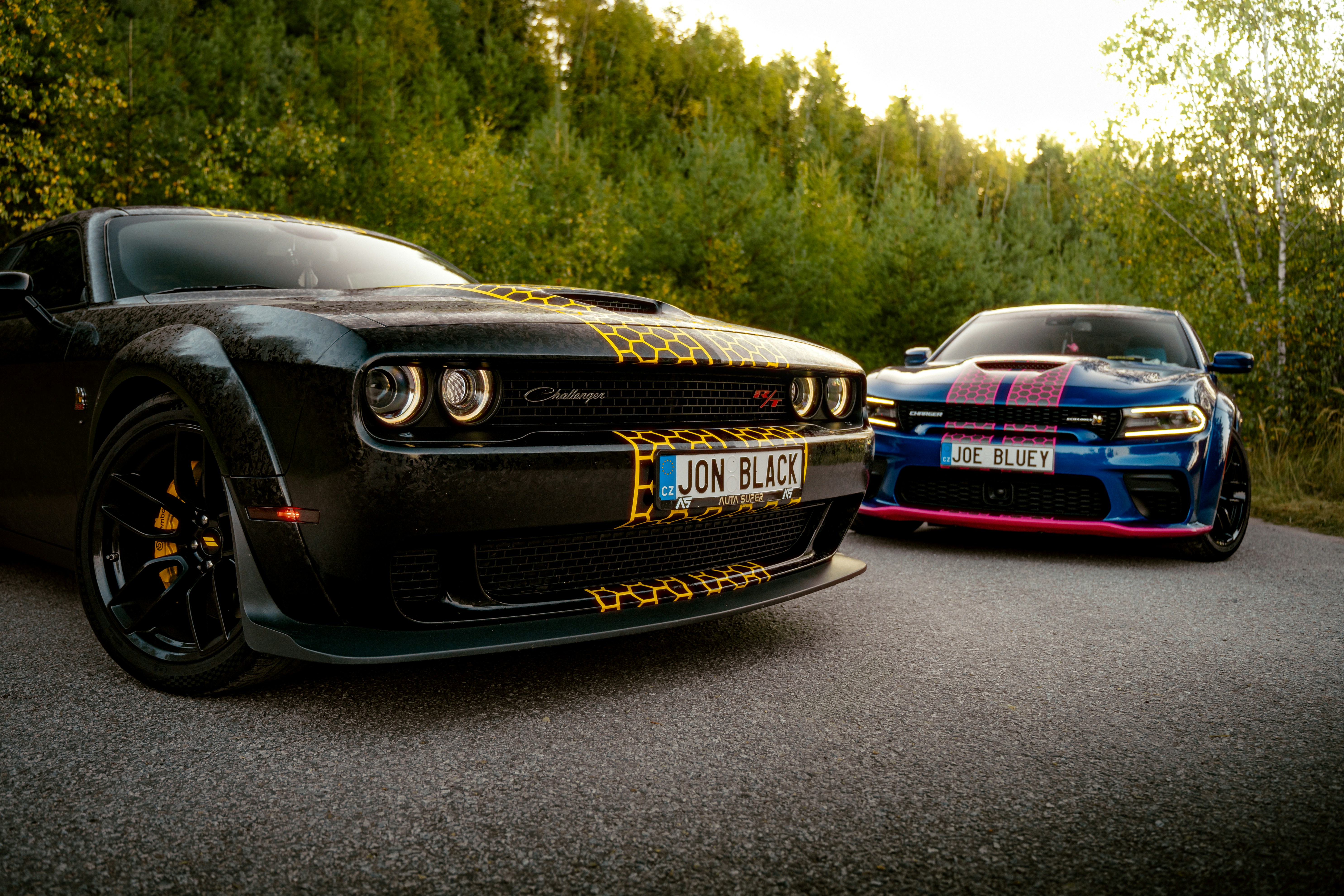 Matte vs. Satin vs. Gloss: Choosing the Right Stripe Finish