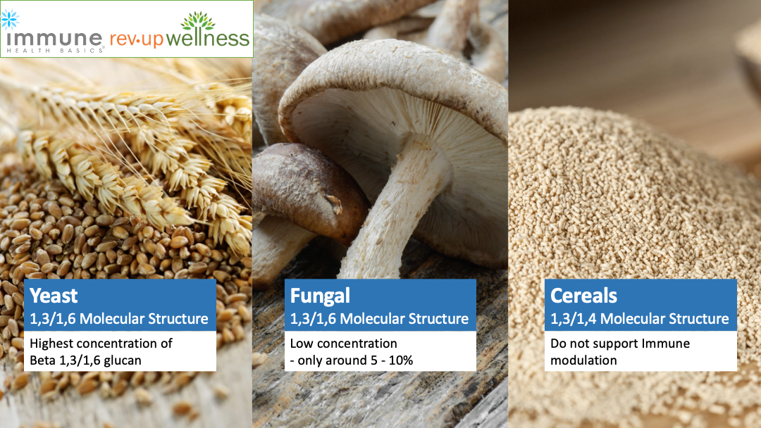 beta-glucan-sources-v1.png