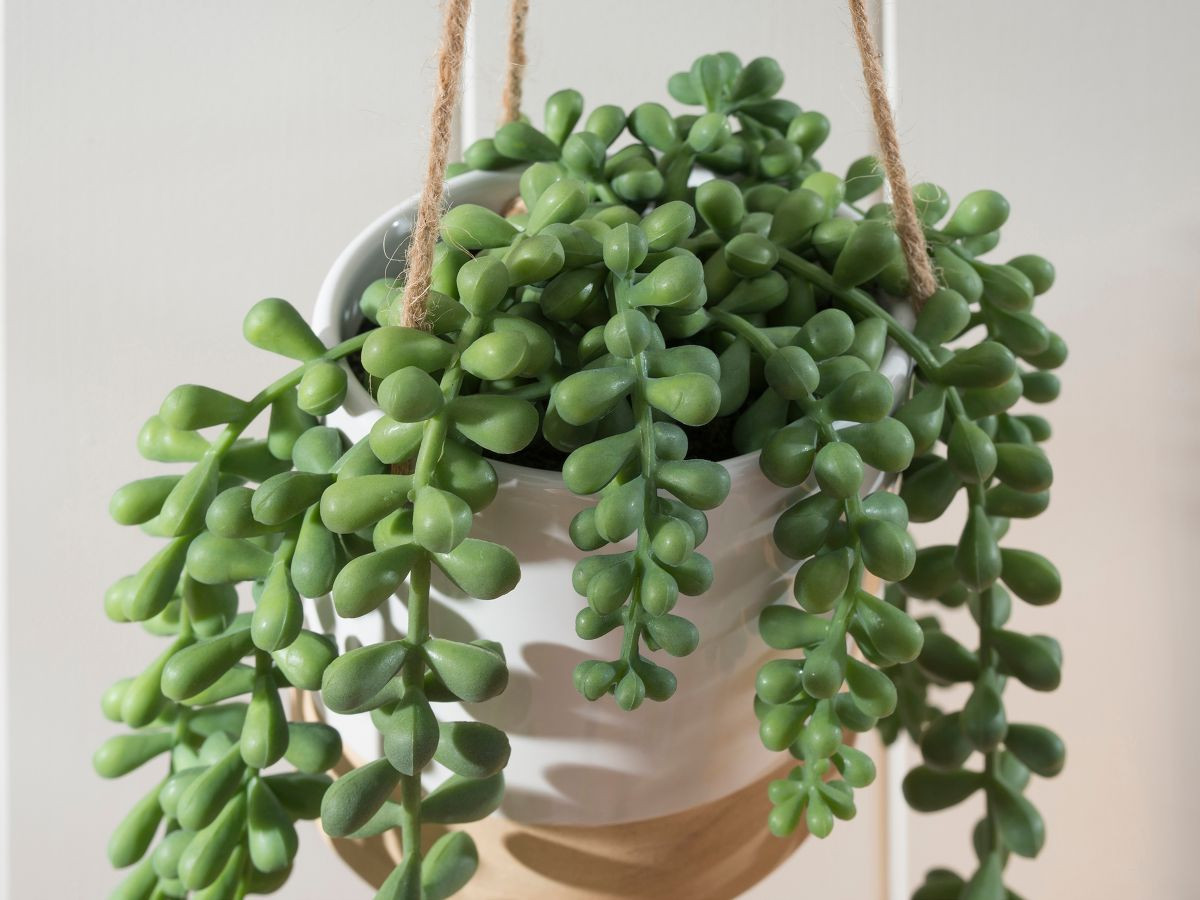 Hanging Pea Succulent Artificial Plant Fake Plants & Decor