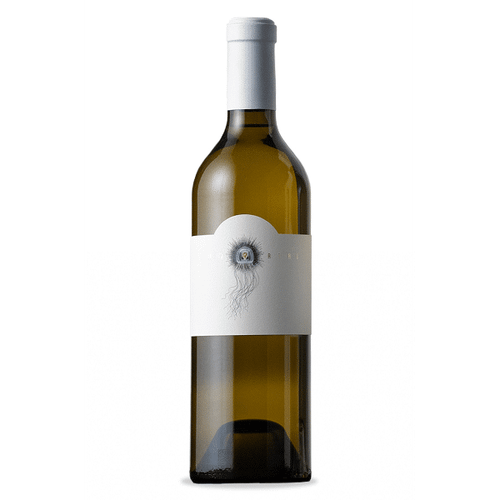 2023 Immortal Slope Sauvignon Blanc