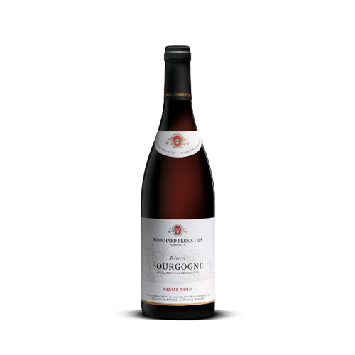 2020 Bouchard Père & Fils Bourgogne Pinot Noir