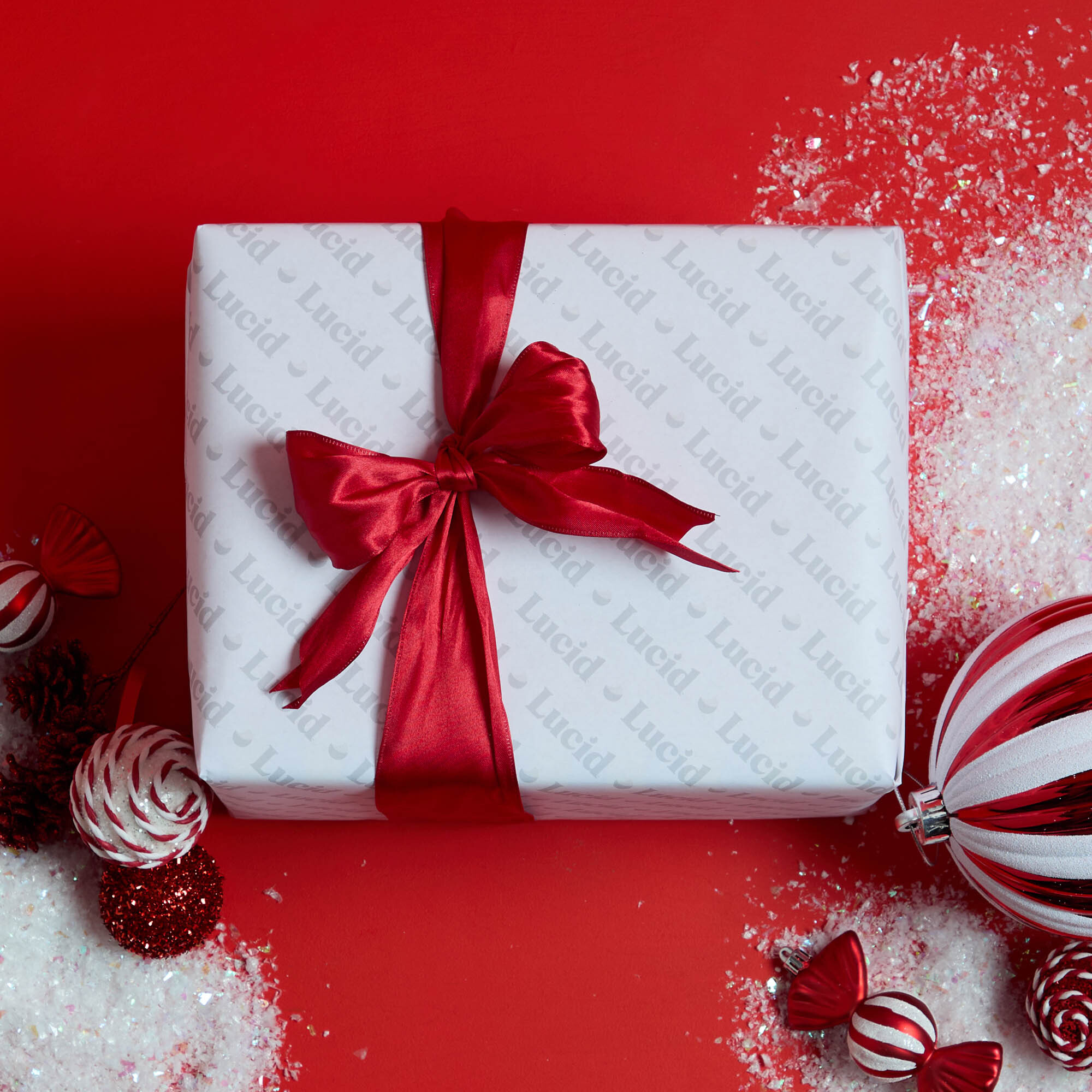 Woman and dog sleeping in bed.