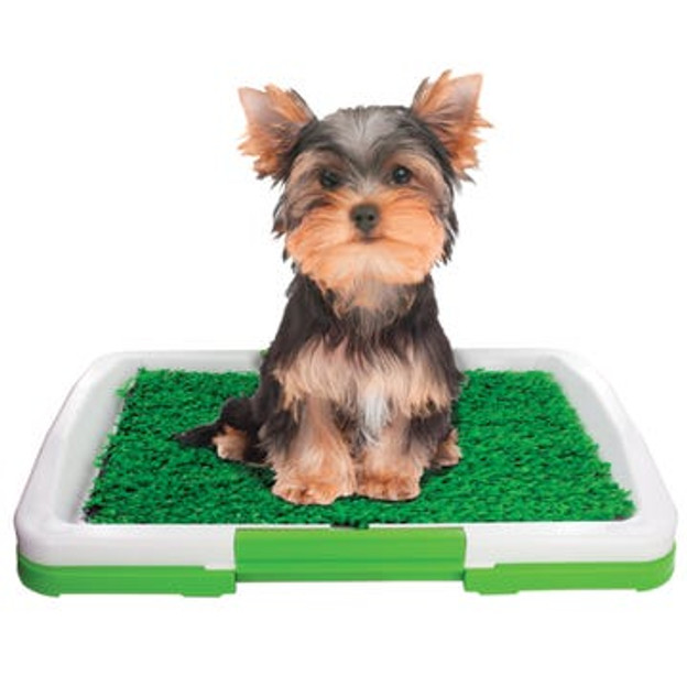 Indoor Turf Potty Training Tray for Dogs