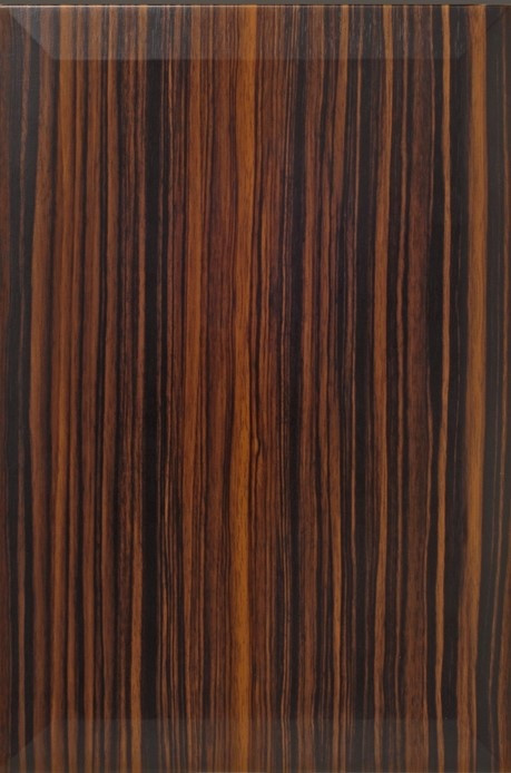 Element Laminate Door (669)