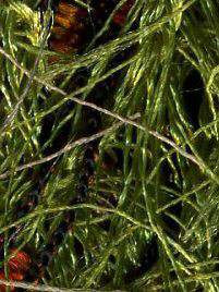 Cameo by Knitting Fever