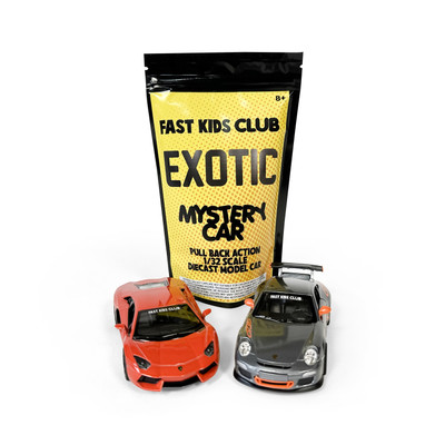 Mystery Car | Exotic