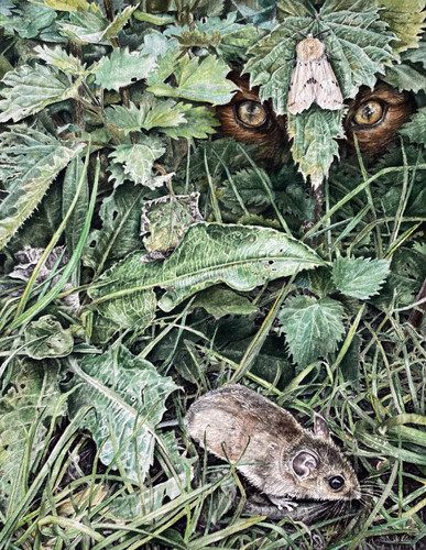 From the Artist: Claire Sparkes RI