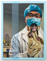 108 - Don't Make a Monkey Out of Me