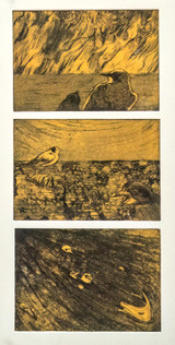 011 - The Three Calamities - Fires, Droughts, and Floods