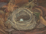 025 - The Blackbird's Nest