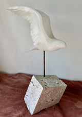 360 - Little Tern