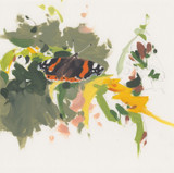 332 - Red and changing colour