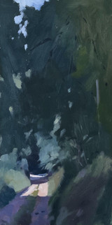 192 - Surrey Hills, Woodland Track